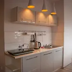 Gasthuis Apartamenty Szczawno-Zdroj - Boczna 5A 3*